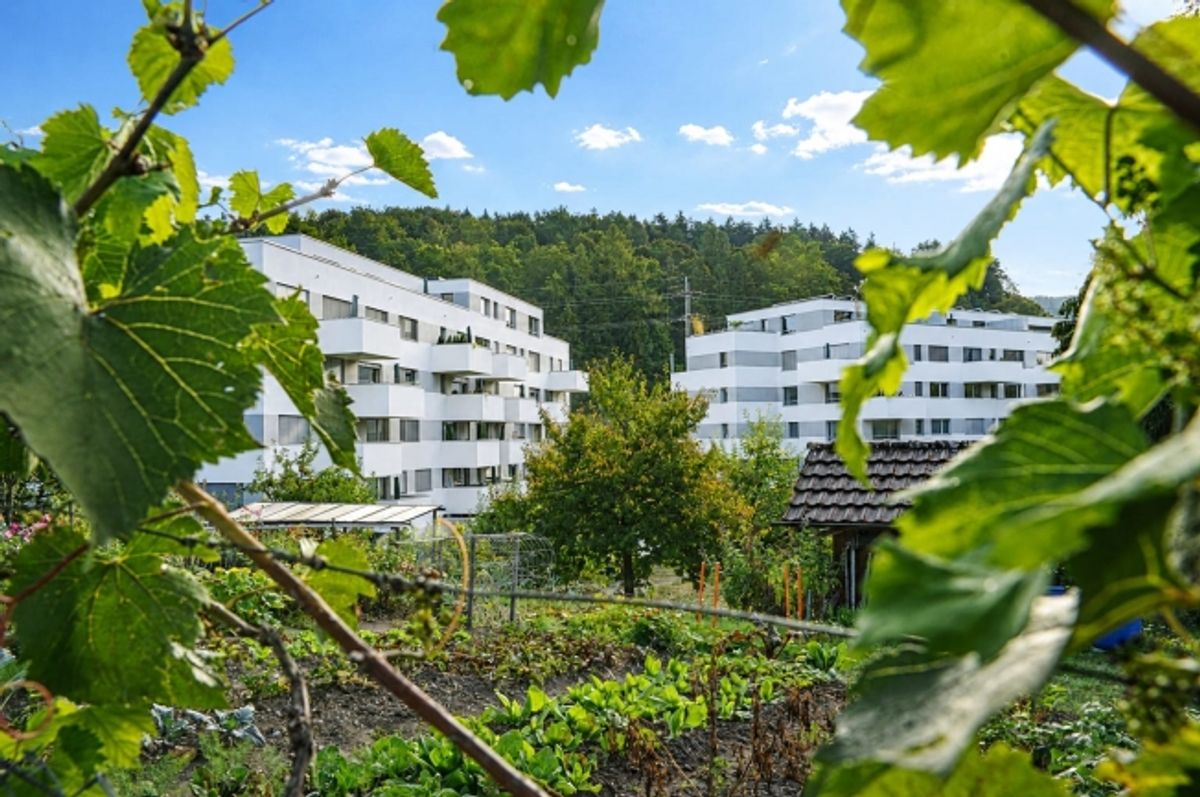 5.5 Zi. Minergie-Wohnung mit Balkon in Winterthur-Seen - 1