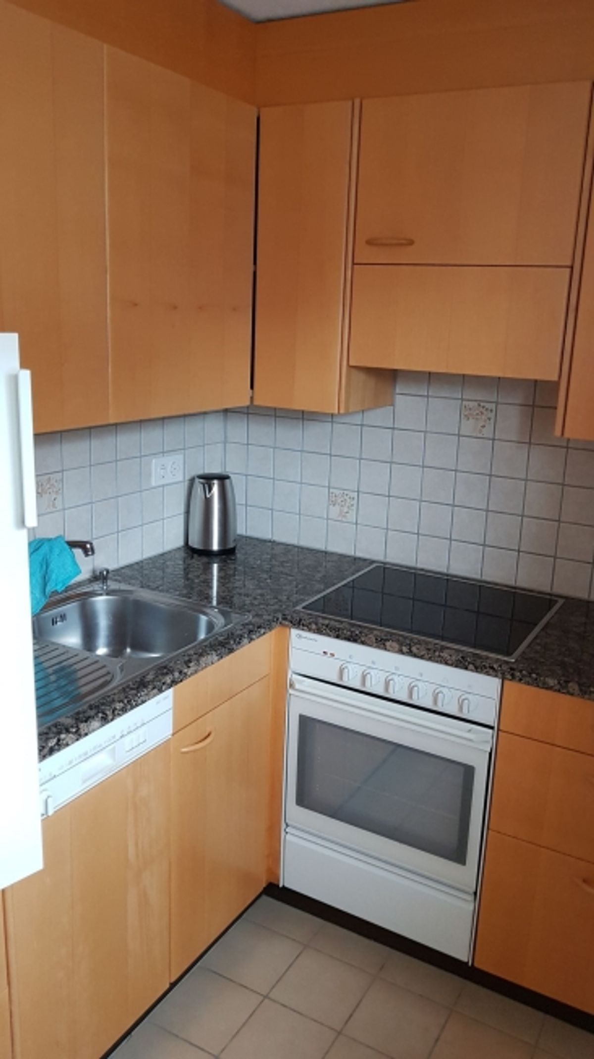 Möblierte 1-Zimmer-Wohnung im Zentrum von Adelboden - 2