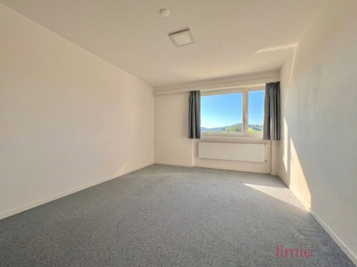 Helle, renovierte 4.5-Zi.-Wohnung mit SW-Balkon in Frauenfeld mieten - 4