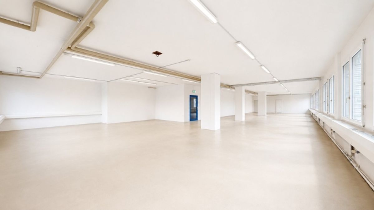 Gewerbe, Produktion, Büro, Lager, Ausstellung und Logistik auf einem Geschoss - 7