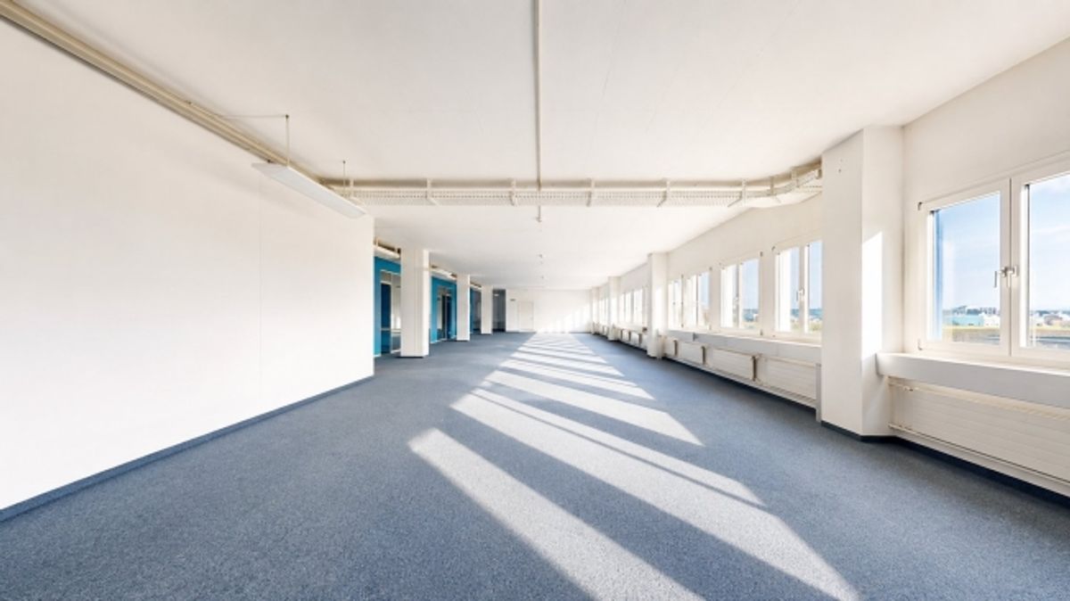 Gewerbe, Produktion, Büro, Lager, Ausstellung und Logistik auf einem Geschoss - 11
