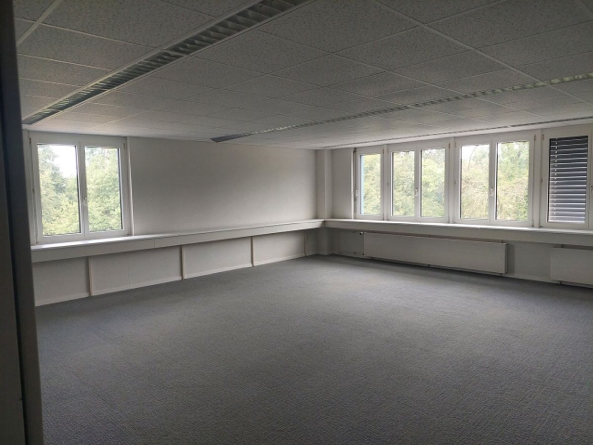 Ihr neuer Standort in Rüti ZH - 3