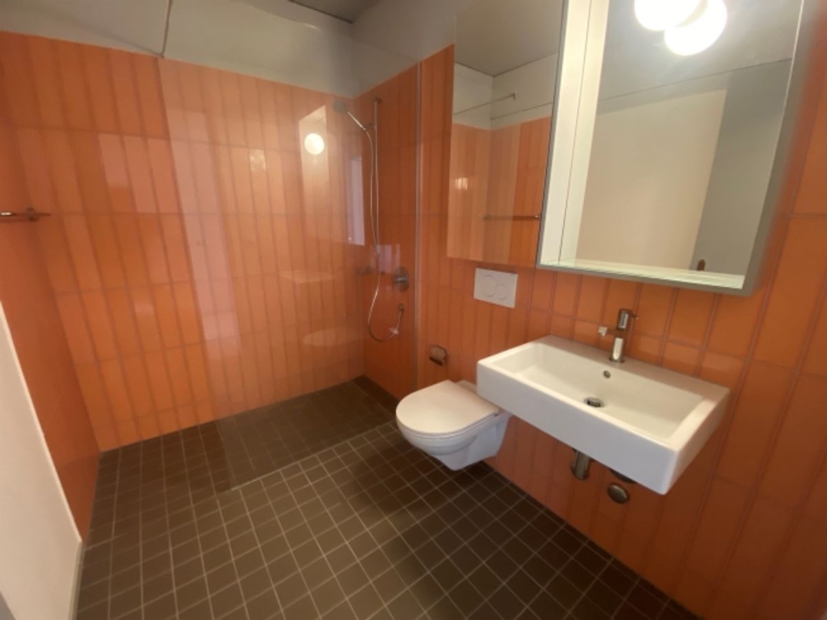 Moderne Wohnung in Winterthur - 4