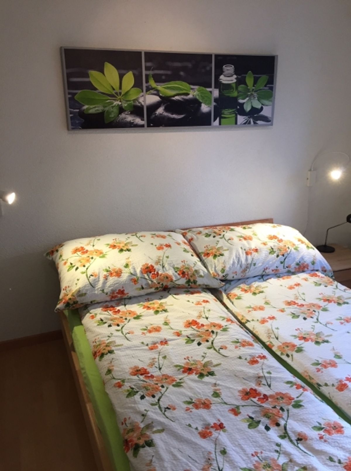 2 ZI-WOHNUNG IN HONDRICH (BE), MÖBLIERT, TEMPORÄR - 1