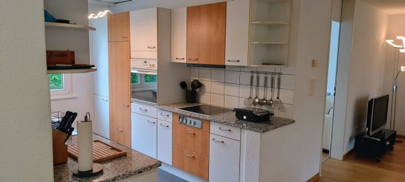 3½ ZI-WOHNUNG IN BAAR (ZG), MÖBLIERT, TEMPORÄR - 3