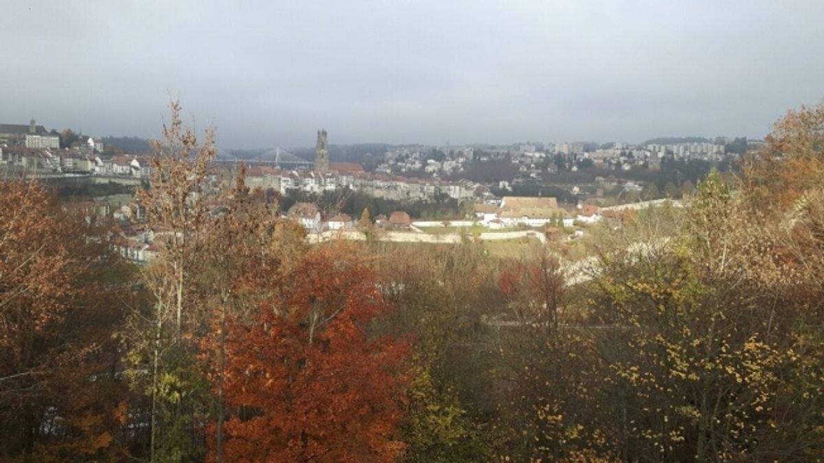 ZU VERMIETEN PARKPLÄTZE IM HERZEN DER STADT FRIBURG - 0