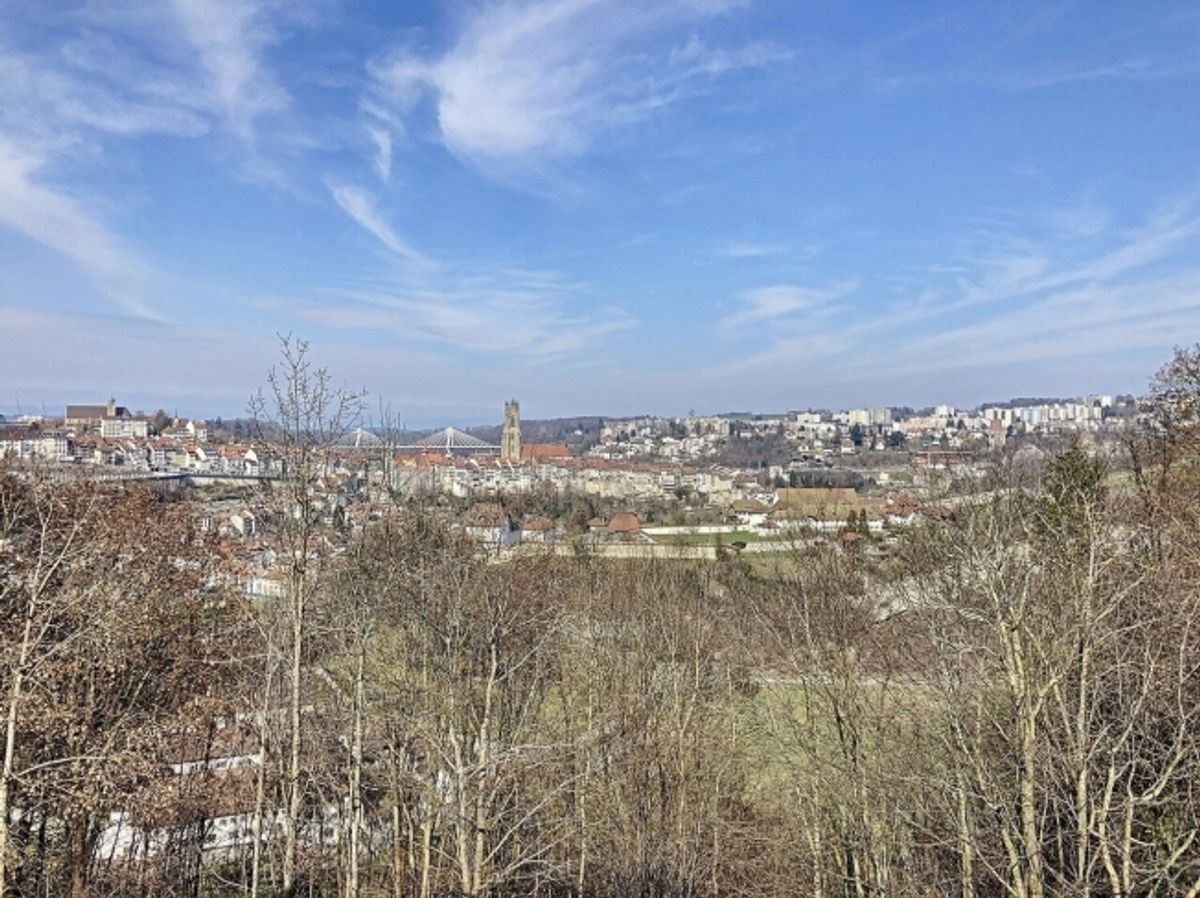 ZU VERMIETEN PARKPLÄTZE IM HERZEN DER STADT FRIBURG - 2