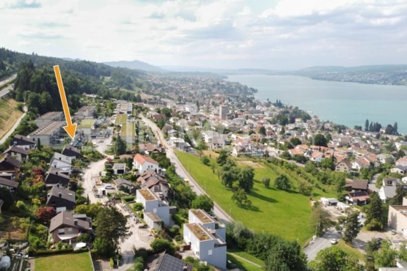 Ihr neues Zuhause mit Panoramasicht von Zürich bis in die Alpen - 1
