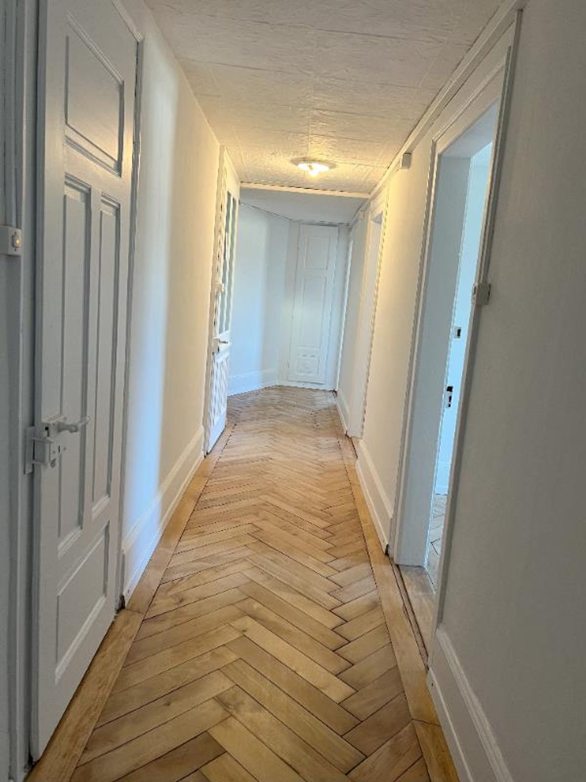 Charmante 4.5-Zimmer Altbauwohnung in Luzern - 1