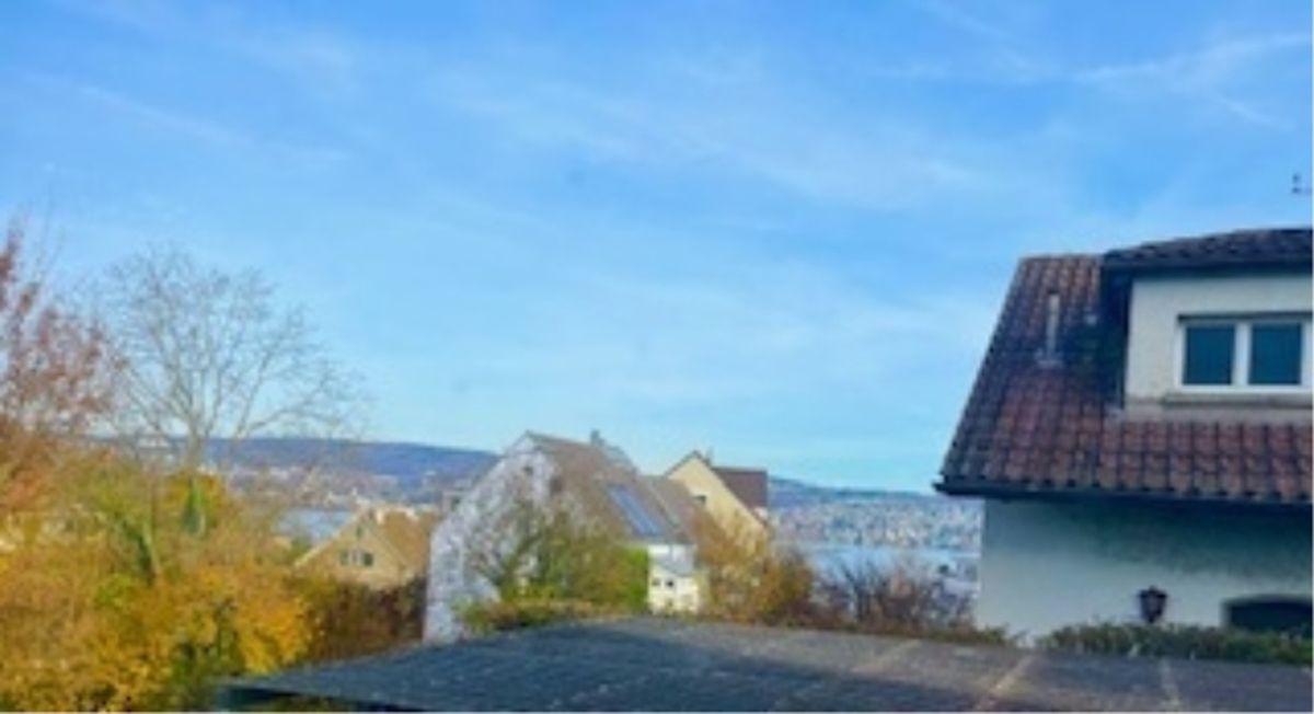 5 ZIMMER-HAUS IN ZÜRICH - KREIS 2 WOLLISHOFEN, MÖBLIERT, TEMPORÄR - 2