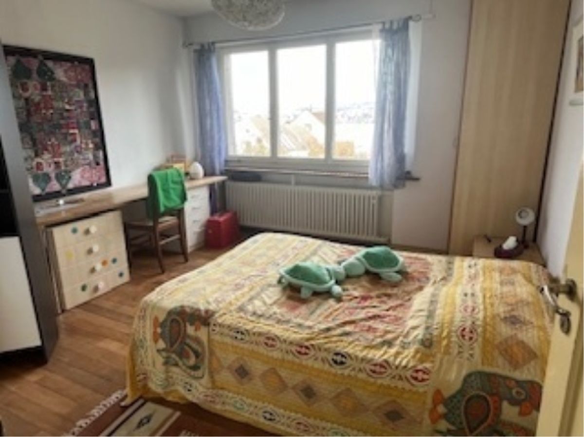 5 ZIMMER-HAUS IN ZÜRICH - KREIS 2 WOLLISHOFEN, MÖBLIERT, TEMPORÄR - 7
