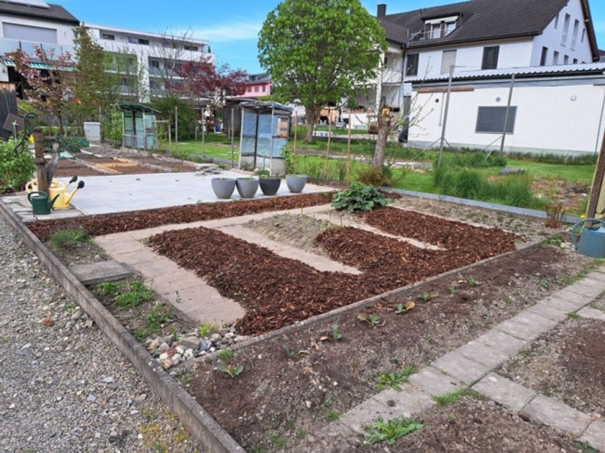grosszügige 4 ½-Zi.-Eigentums-Gartenwohnung an schöner Wohnlage Buchs-Räfis - 9