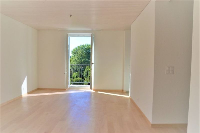 Zu vermieten 3 Zi.-Dachwohnung an der Wylandstr. 3a in Winterthur - 8