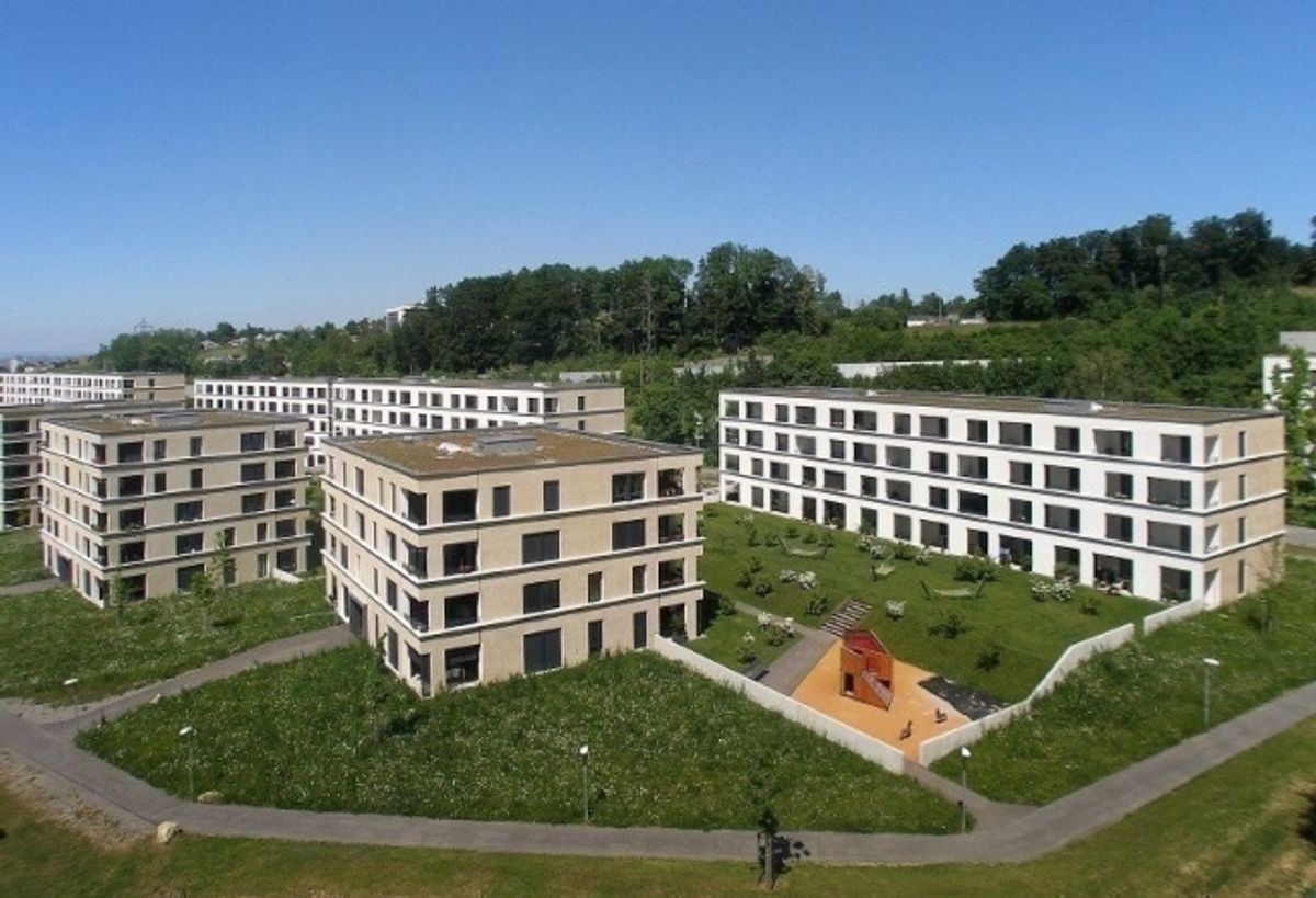 Naturnah Wohnen vor den Toren Zürichs - 0