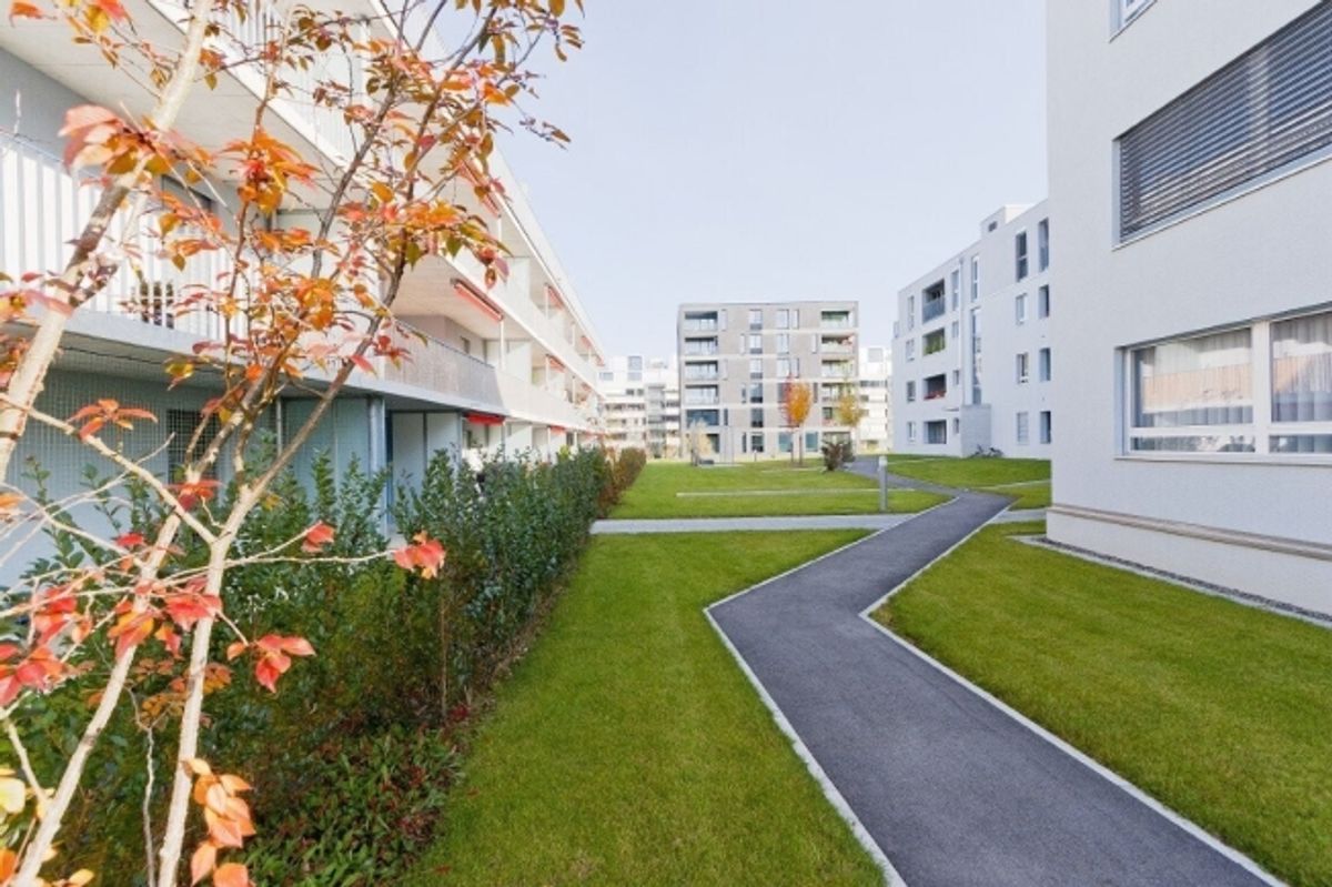 Charmante Wohnung an ruhiger Lage - 0