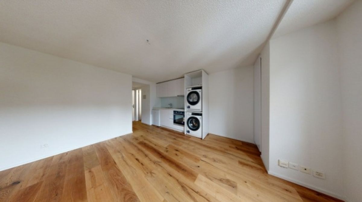 Exklusive und moderne Wohnung an der Reussinsel - 0