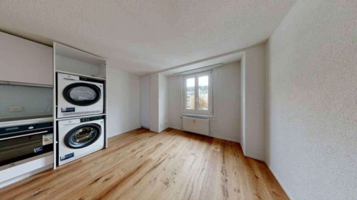 Exklusive und moderne Wohnung an der Reussinsel - 1