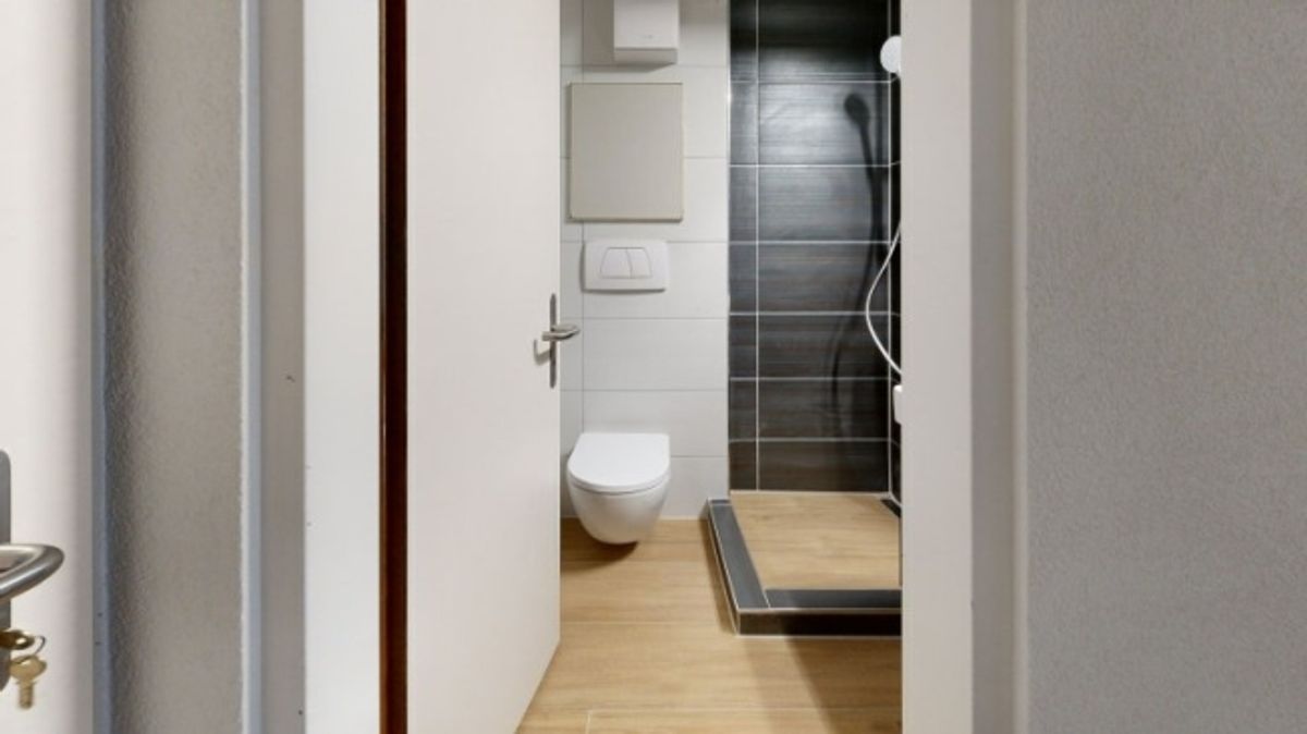 Exklusive und moderne Wohnung an der Reussinsel - 4