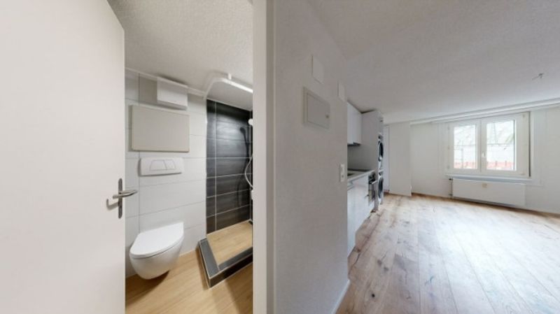 Exklusive und moderne Wohnung an der Reussinsel - 6
