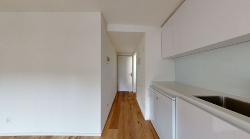 Exklusive und moderne Wohnung an der Reussinsel - 8