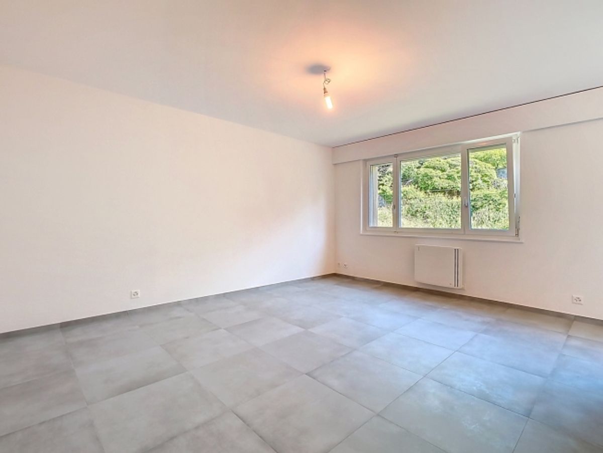 Schöne Einzimmerwohnung in Vevey - 1