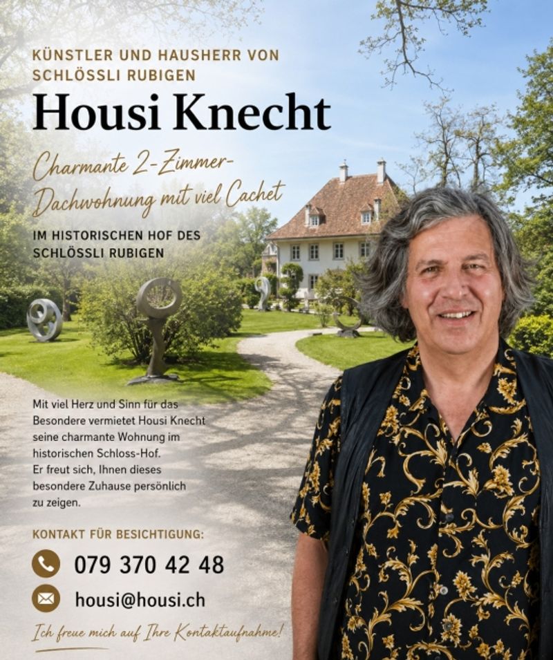 CHARMANTE DACHWOHNUNG IM HISTORISCHEN HOF DES SCHLÖSSLI RUBIGEN - 9