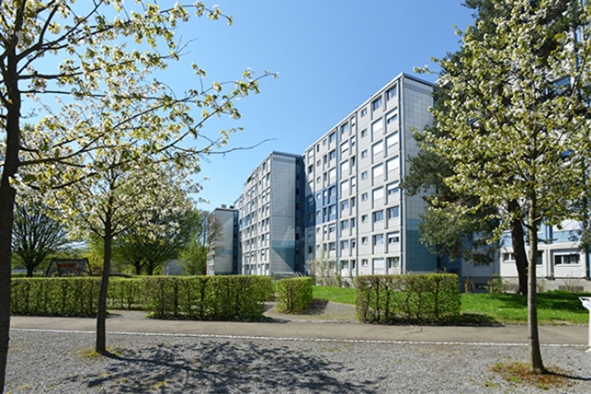 Grosszügige Wohnung mit Gartensitzplatz - 1