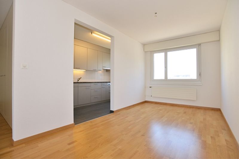Grosszügige Wohnung mit Gartensitzplatz - 9