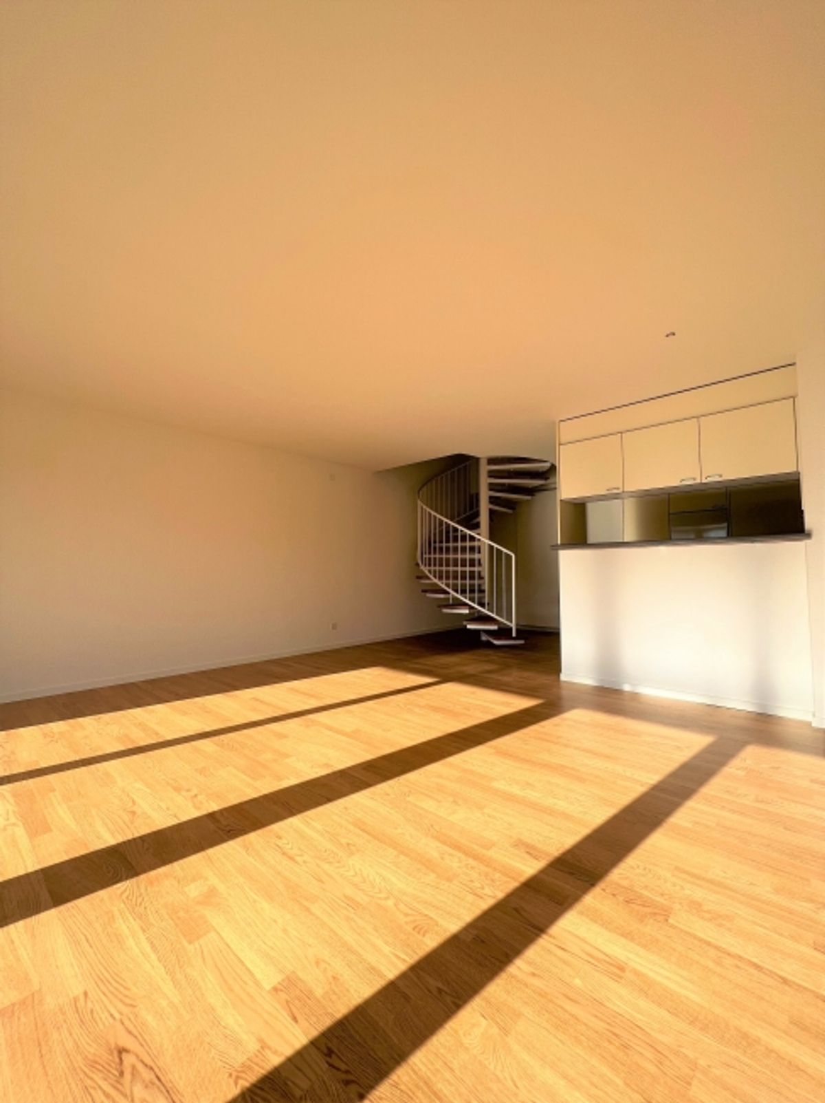 Gemütliche Maisonettewohnung im Zentrum Uster - 2