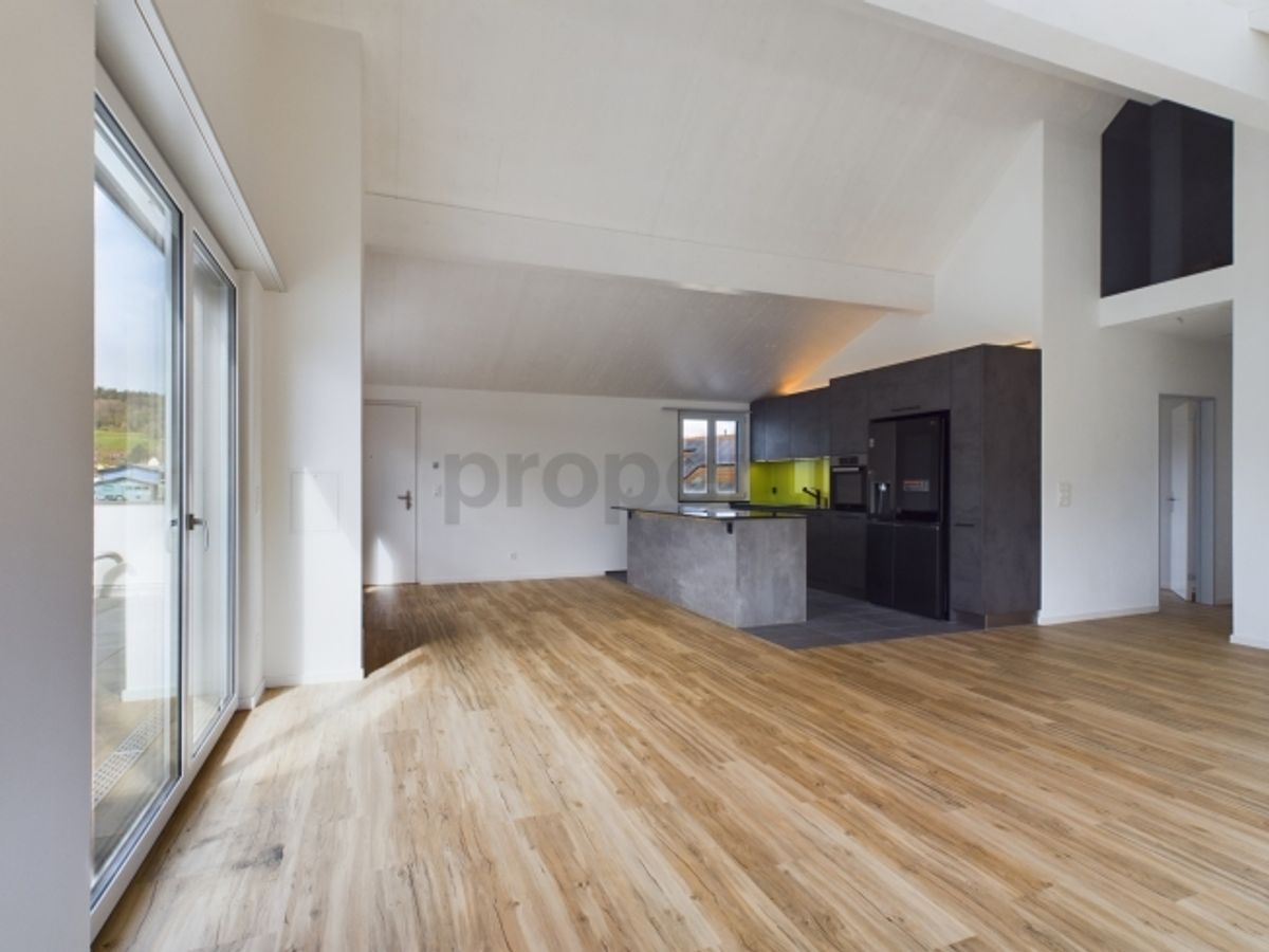 Exklusive 6.5-Zimmer-Dachwohnung mit Dachterrasse in Neftenbach - 0