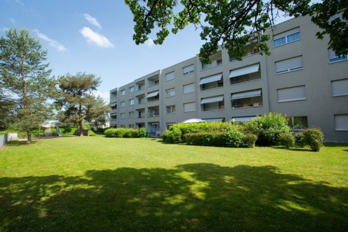 Schöne 3-Zimmerwohnung an grüner Lage - 0