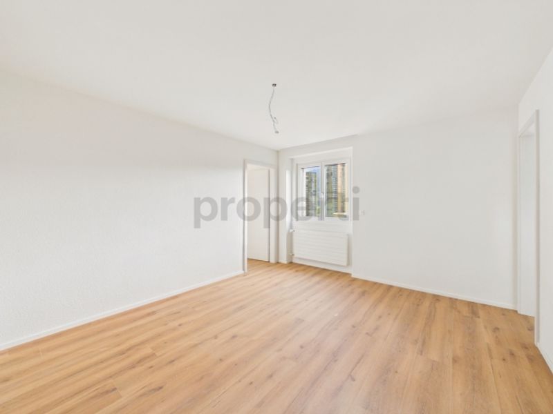 Neu renovierte 2.5-Zimmer-Wohnung mit Balkon, Luzern - 4