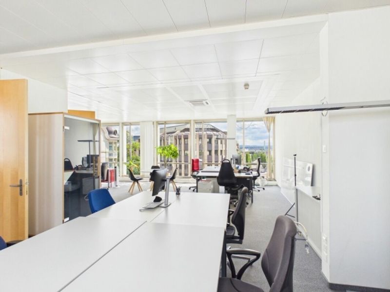 Schöne, geräumige Fläche zu vermieten 240 m² - 13