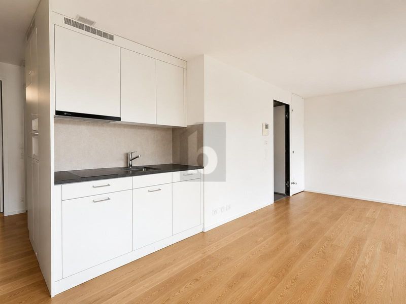 ARBEITEN NAHE ZÜRICHSEE - 4
