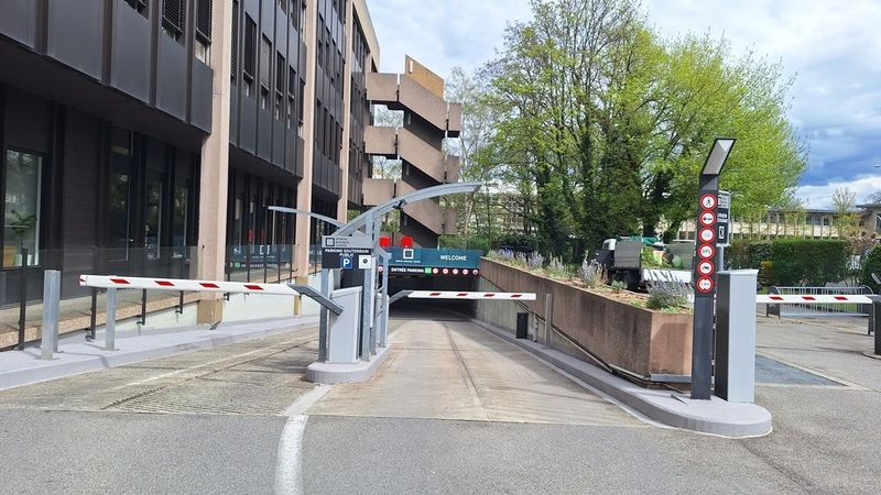 Bureau de 165m2 - Av. des Morgines 12, Petit-Lancy - 5
