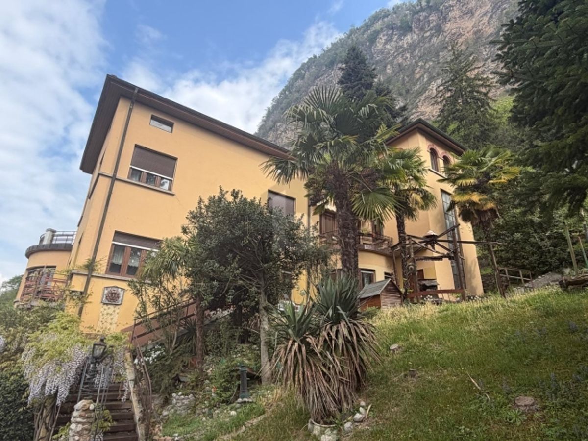 GRANDE DA RESTAURARE POSIZIONE TOP - 0