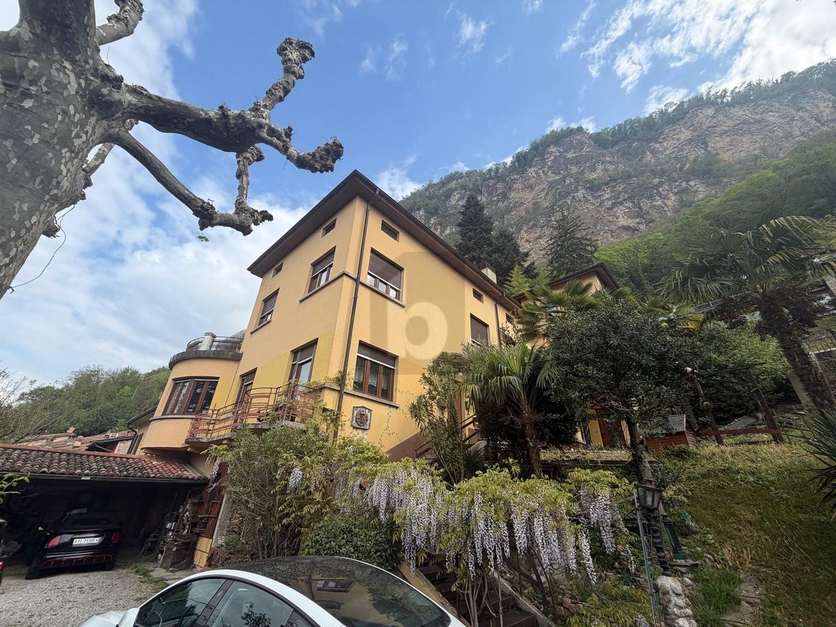 GRANDE DA RESTAURARE POSIZIONE TOP - 1