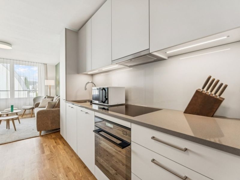 Möblierte Apartments im Oslo Style | LOU Luzern - 7