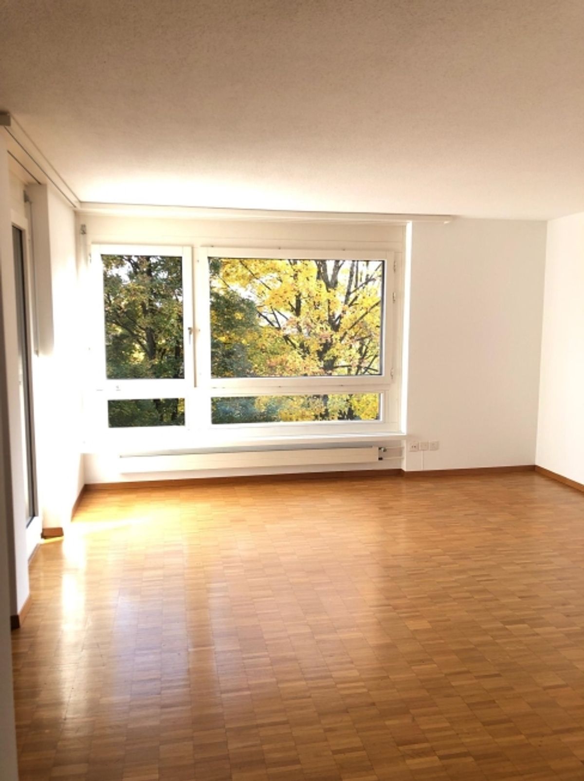Klein aber fein "Mieten ohne Kaution" - 1