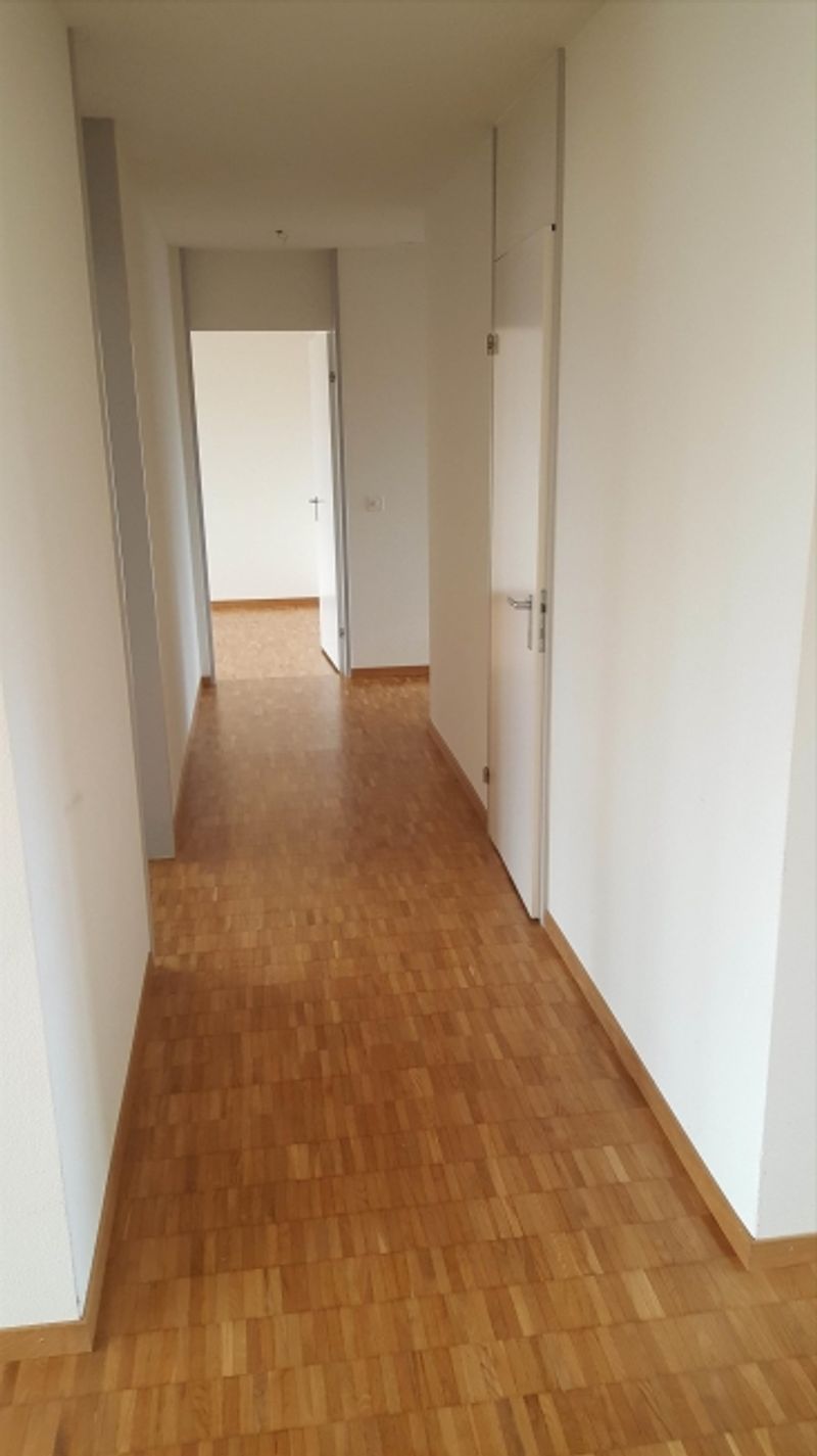 Wohnen im grünen Herzen von Oberwinterthur - 3