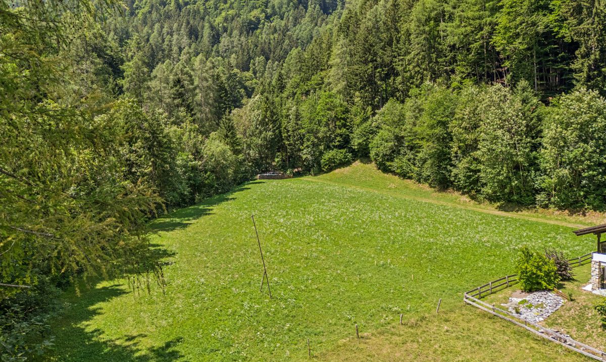 Grosszügiges Bauland mit Projektstudie an naturnaher Lage in Vättis - 1