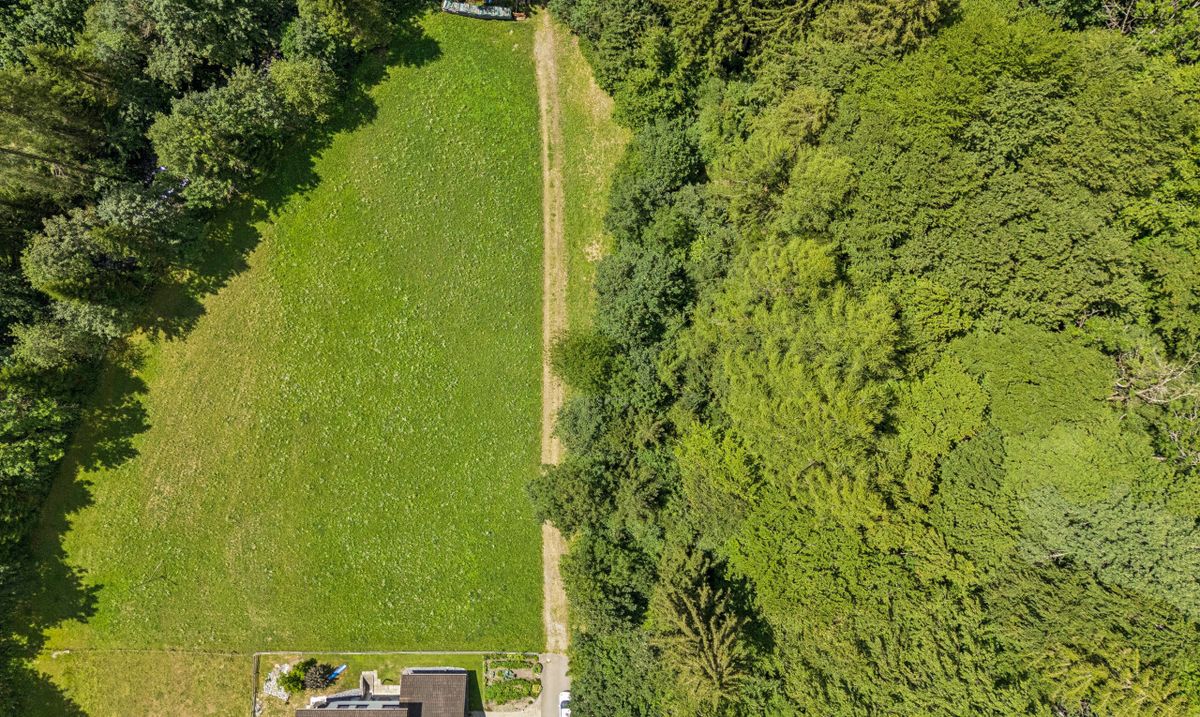 Grosszügiges Bauland mit Projektstudie an naturnaher Lage in Vättis - 2