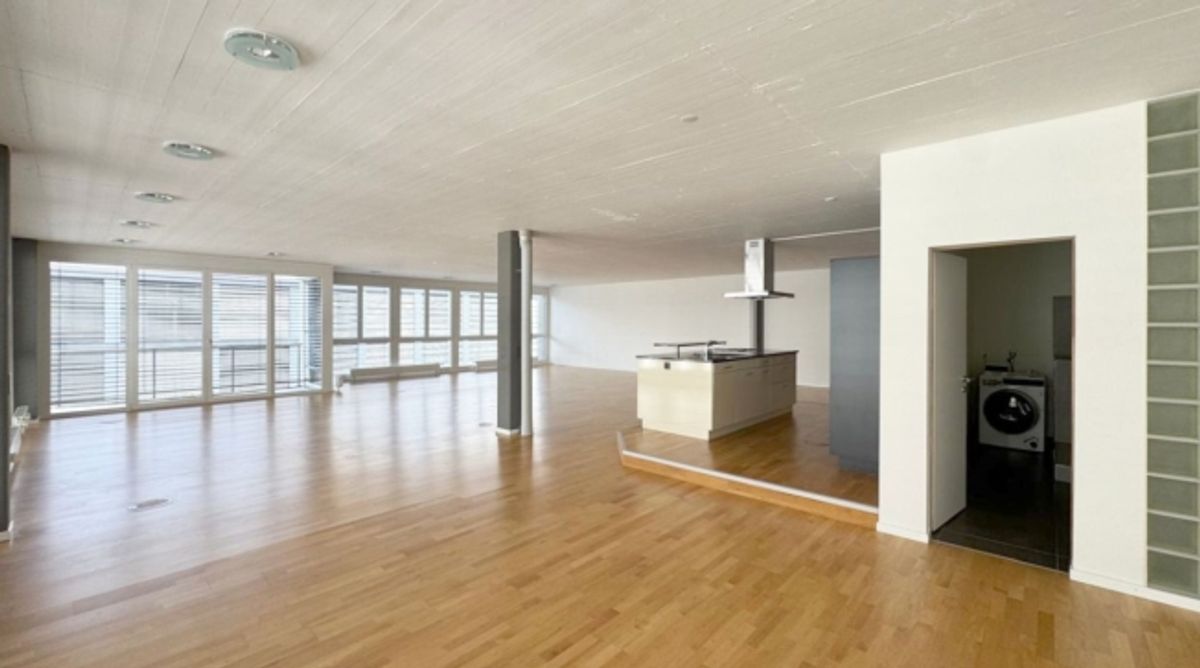 Helle, repräsentative Gewerbe- / Bürofläche - 0