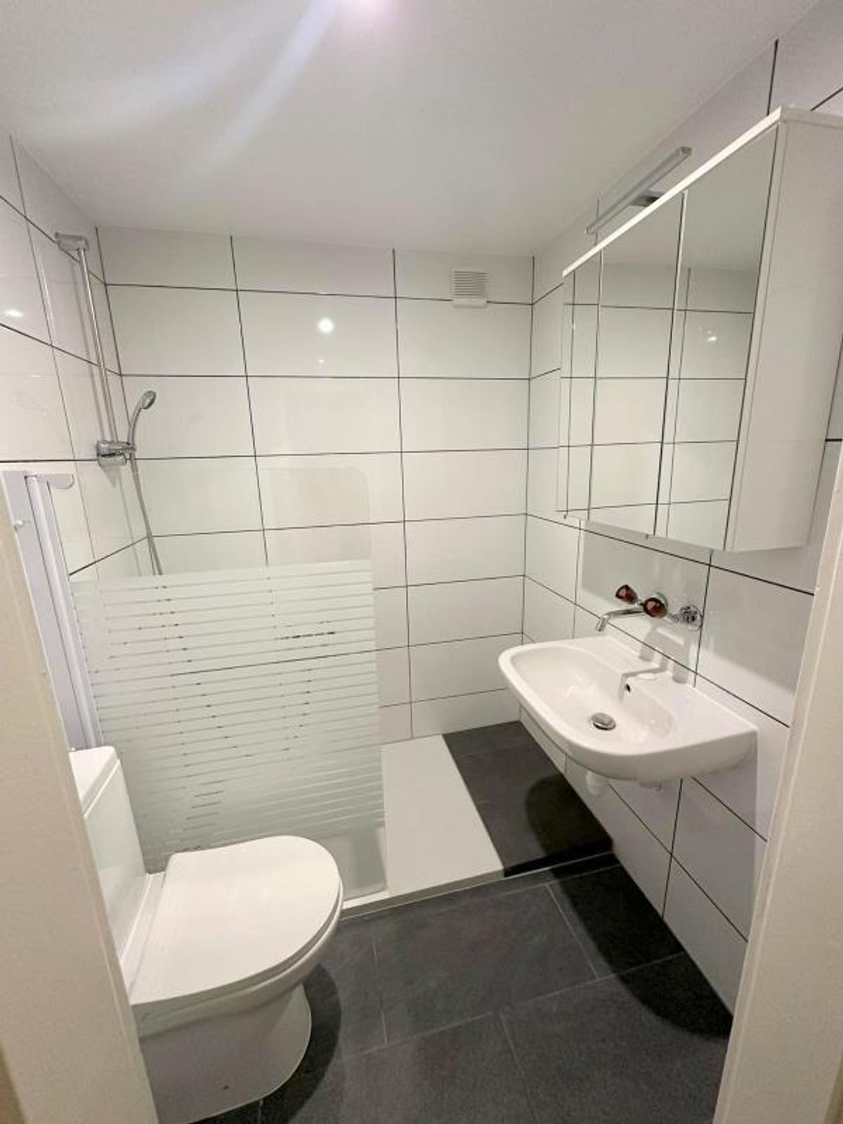 3.5 Zimmer Wohnung - 8