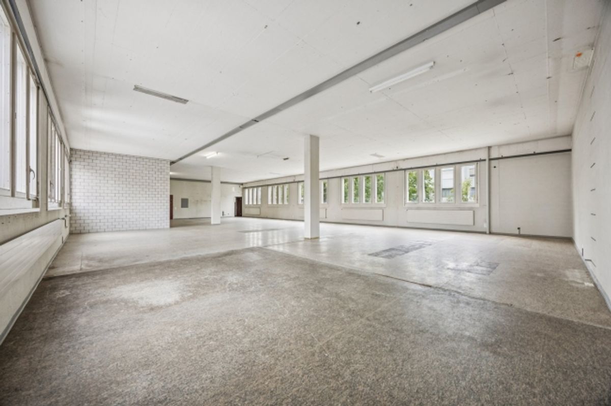Viel Raum für Bewegung und Erfolg – 267 m² Gewerbefläche mit zahlreichen Park - 5