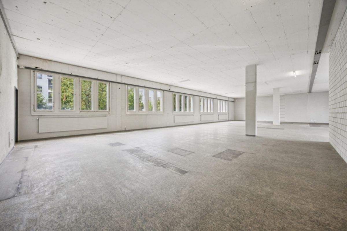 Viel Raum für Bewegung und Erfolg – 267 m² Gewerbefläche mit zahlreichen Park - 6