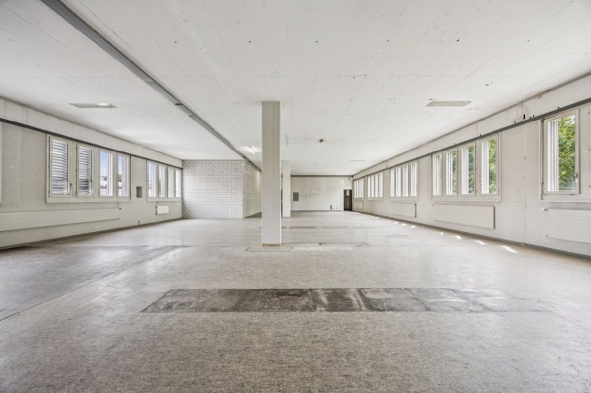 Viel Raum für Bewegung und Erfolg – 267 m² Gewerbefläche mit zahlreichen Park - 8