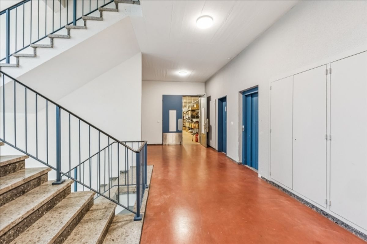 RAUM FÜR IHRE IDEEN - vielseitig nutzbare Gewerbefläche in Zürich Altstetten - 5