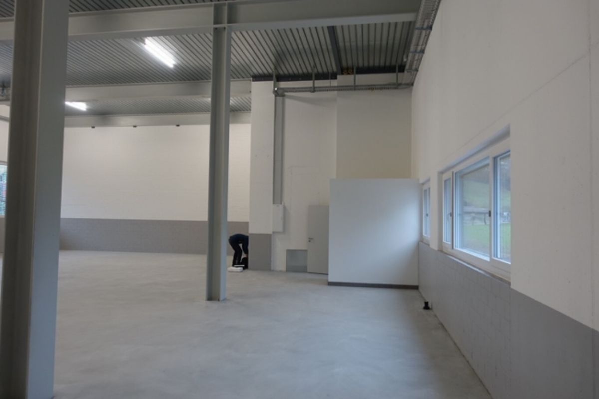Moderne Gewerbefläche an attraktiver Gewerbelage in Luzern Nord - 3