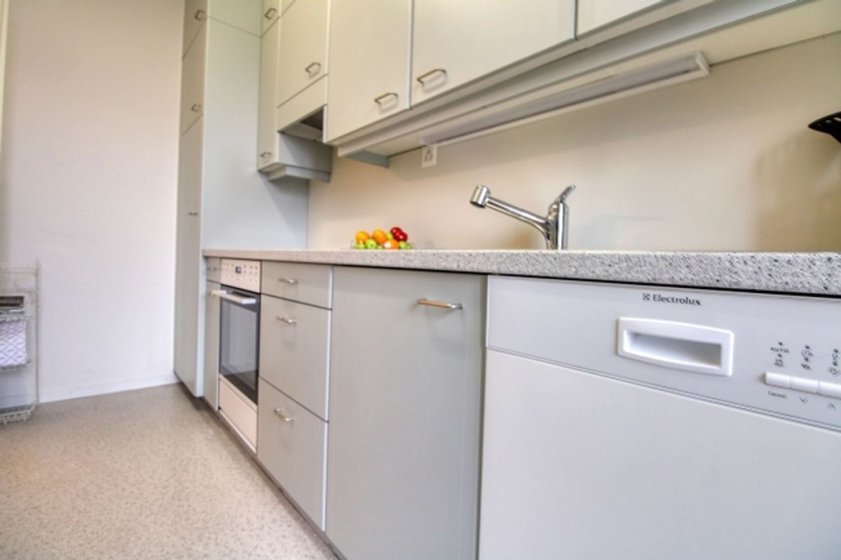Your Stylish Coliving in Zürich's Vibrant Höngg District - 7